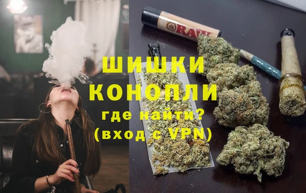 сатива Алексин