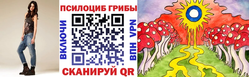 что такое   Лагань  Галлюциногенные грибы MAGIC MUSHROOMS 